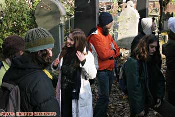 IMG_ (10505)